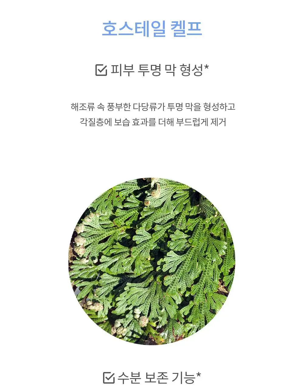 [수분진정] 아드망 마린 켈프 아쿠아 모이스처 토너패드 60매 상세페이지 15